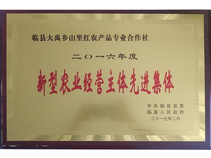 新型農(nóng)業(yè)經(jīng)營主體先進集體